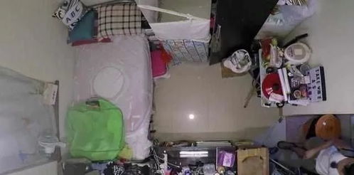 香港正版资料免费大公开|自然之美与心灵之旅_发布版.0.872